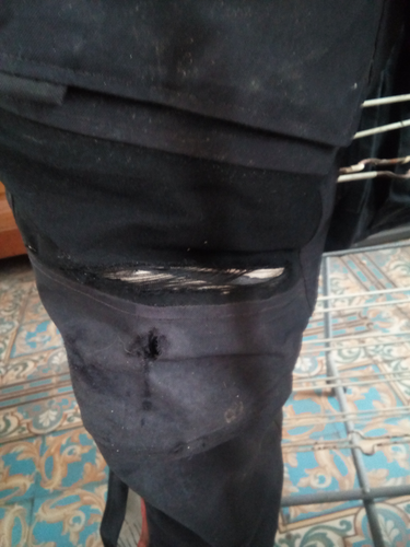 Le pantalon Revit